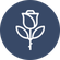 Popular products ico