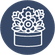 Popular products ico