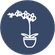 Popular products ico