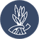 Popular products ico