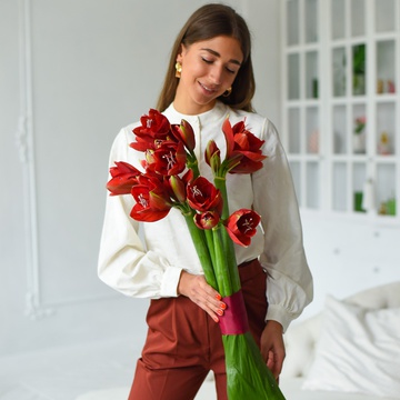 Букет з 5 червоних амарилісів