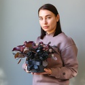 Черные розы в коробке "Осенняя магия"
