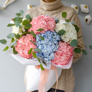 Букет 7 райдужних гортензій з евкаліптом