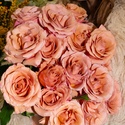 Букет 19 троянд Моаб