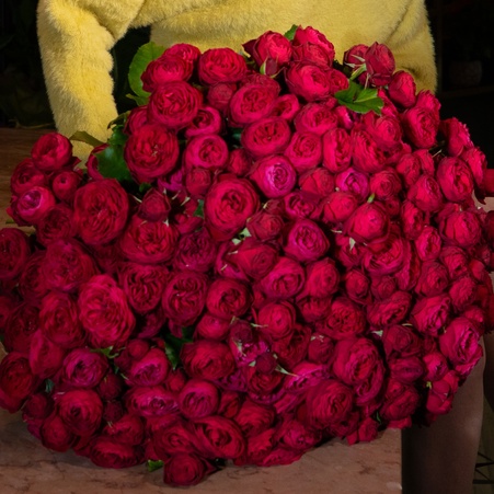 Букет 51 роза Черри Трендсеттер