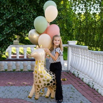 Охапка воздушных шаров "Жираф"