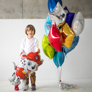 Оберемок повітряних куль "Маршал Щенячий патруль"