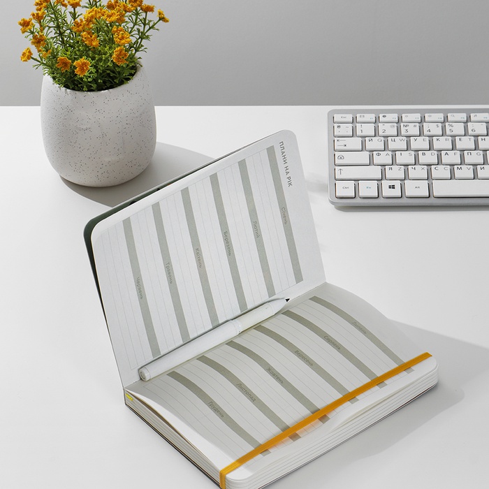 Планер "Птицы" зеленый