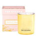 Свеча "Ваниль & Кедр" - Ted Sparks