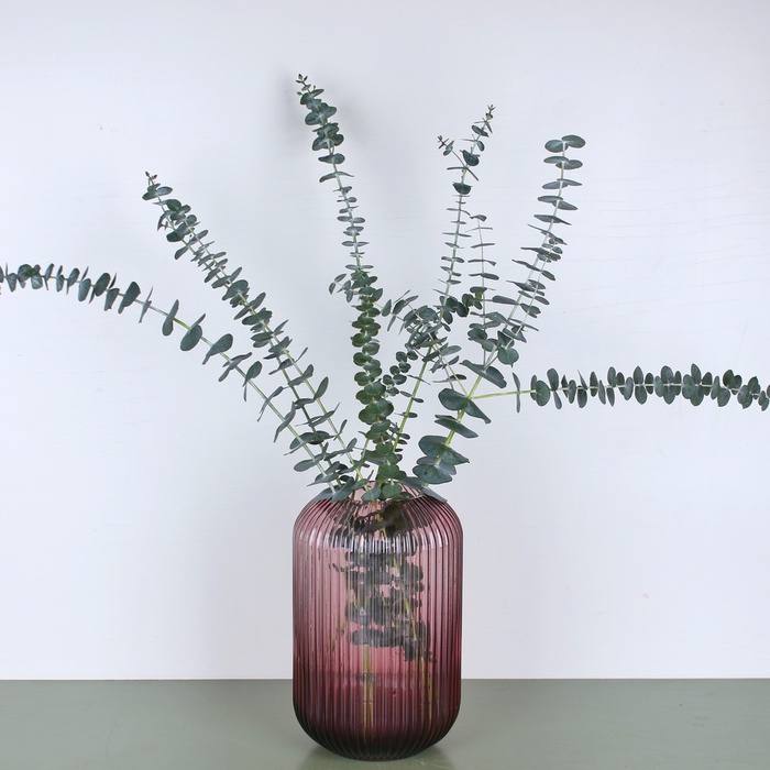 Ваза стеклянная Tulip dark pink