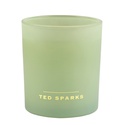 Свеча "Бергамот & Ангелика" - Ted Sparks
