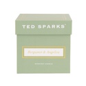 Свеча "Бергамот & Ангелика" - Ted Sparks