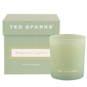 Свеча "Бергамот & Ангелика" - Ted Sparks