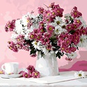 Картина за номерами Натюрморт в рожевих тонах