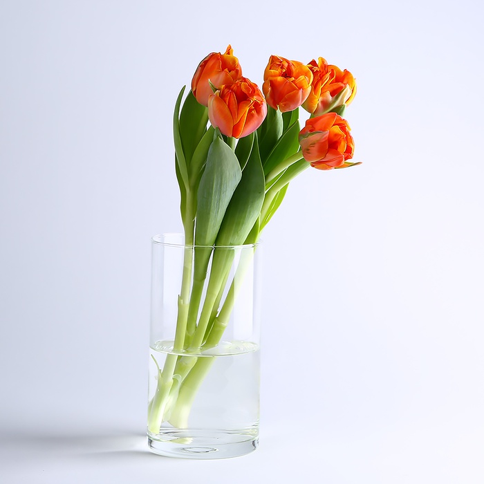 Ваза скляна, циліндр, M