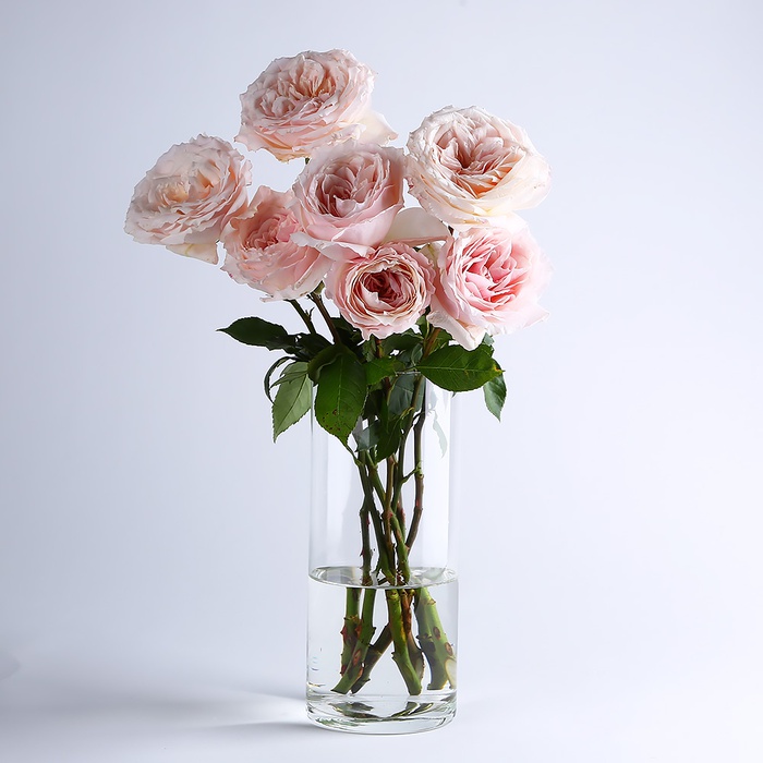 Ваза скляна, циліндр, L