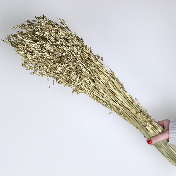 Овес фарбований металік, мікс