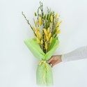 Букет з верби та лагурусу "Зелена свіжість"