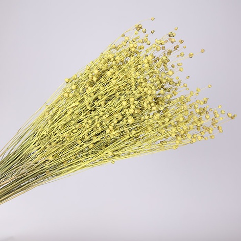 Лен крашеный, желтый