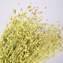 Лен крашеный, желтый