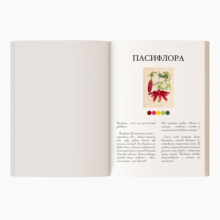 Книга-раскраска "Квіти"