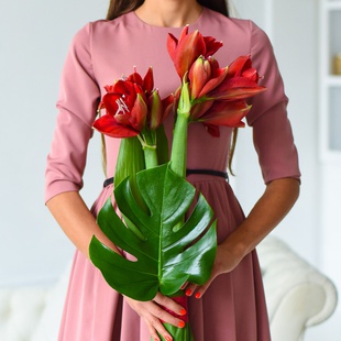 Букет из 3 красных амариллисов