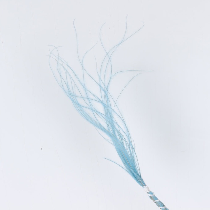 Стіфа блакитна