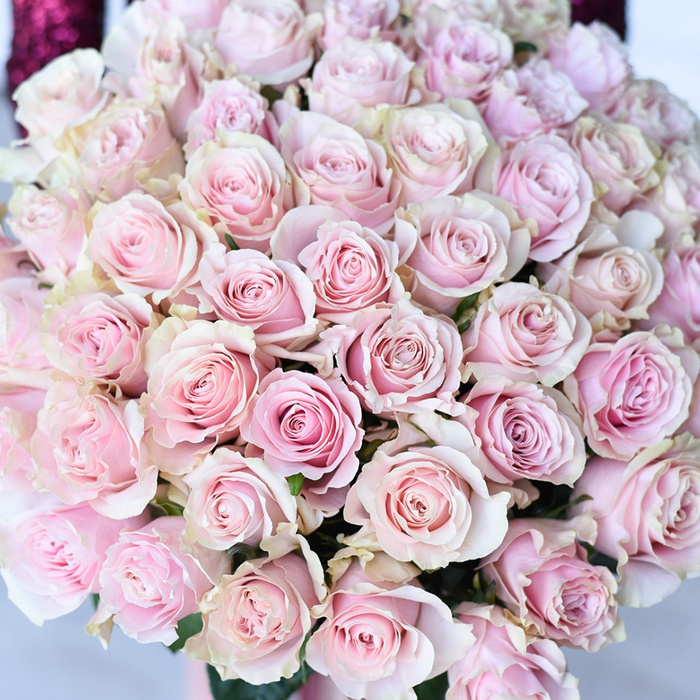 Роза Свит Аваланч, 60 см