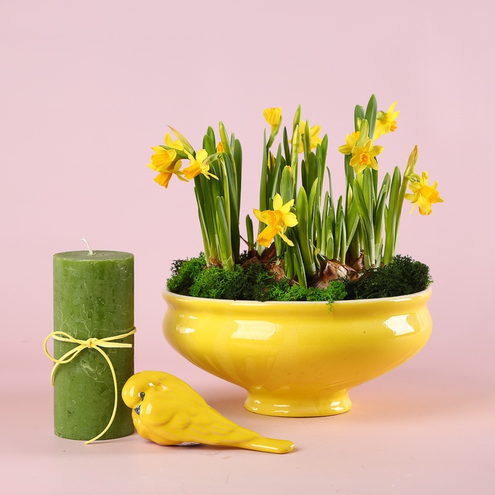 Набір "Квітковий Хюгге"