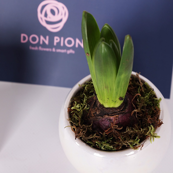 Подарочный набор для удовольствия