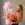 Розы в коробке с шаром Bubbles
