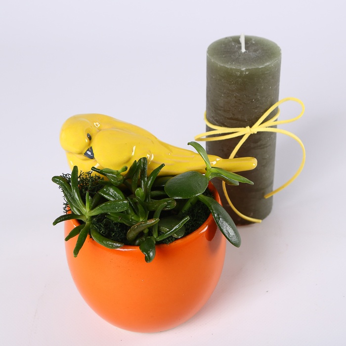 Подарунковий набір "Крила затишку"