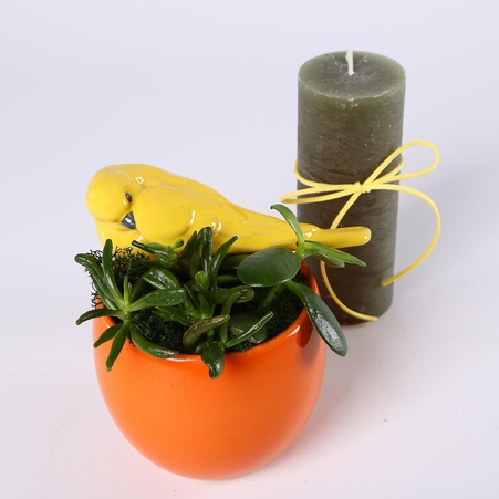 Подарунковий набір "Крила затишку"