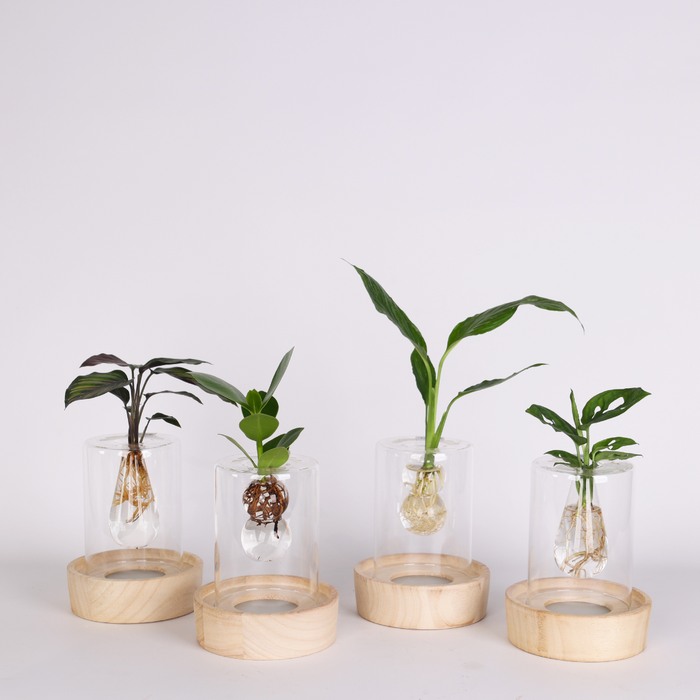 Композиция микс "Вдохновение природы"