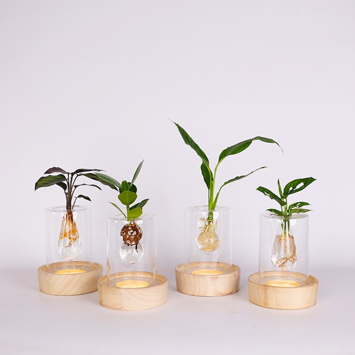 Композиция микс "Вдохновение природы"