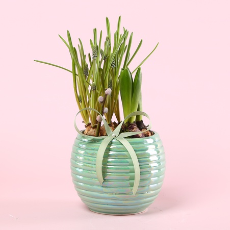 Сезонные цветы в кашпо, М