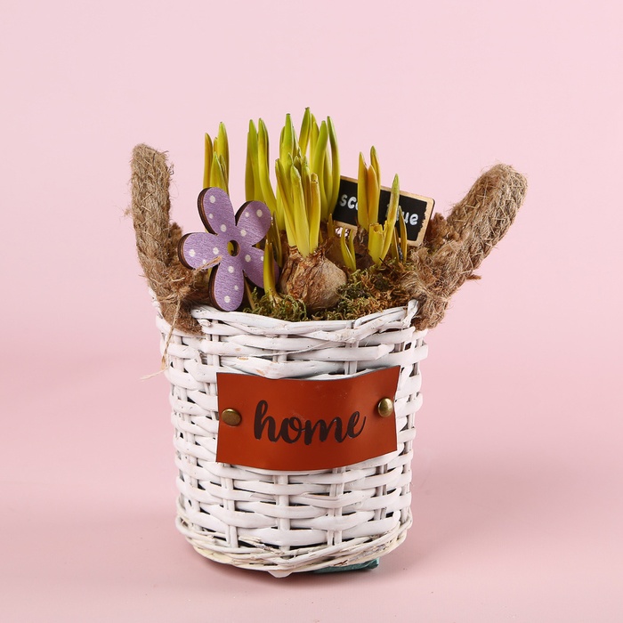 Мускари в корзинке