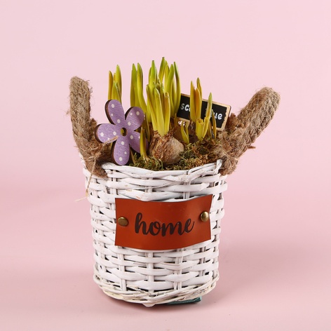 Мускарі у кошику