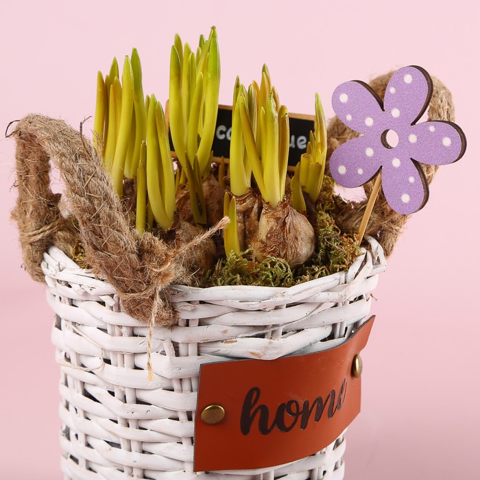 Мускари в корзинке