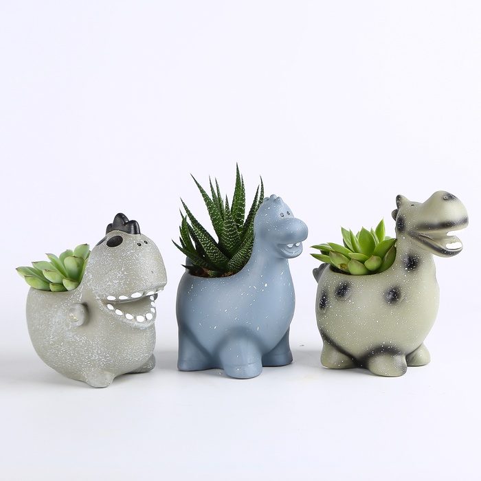 Сукулент мікс в кашпо, S