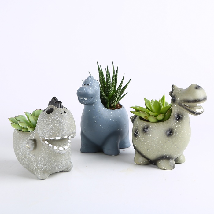 Сукулент мікс в кашпо, S