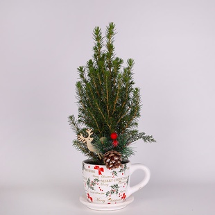 Композиція у новорічній чашці