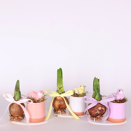 Композиция с амариллисом