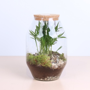 Флораріум, М