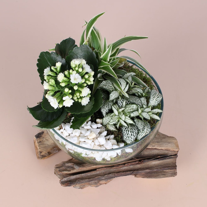 Висадка у вазі зі скла та дерева, М