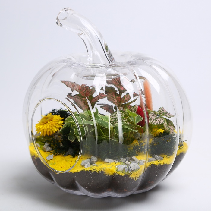 Флорариум в банке