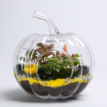 Флораріум у банці