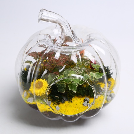 Флорариум в банке