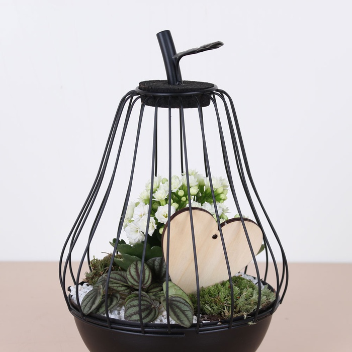 Композиція з рослинами "Груша"