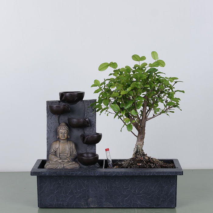 Бонсай в кашпо с водопадом